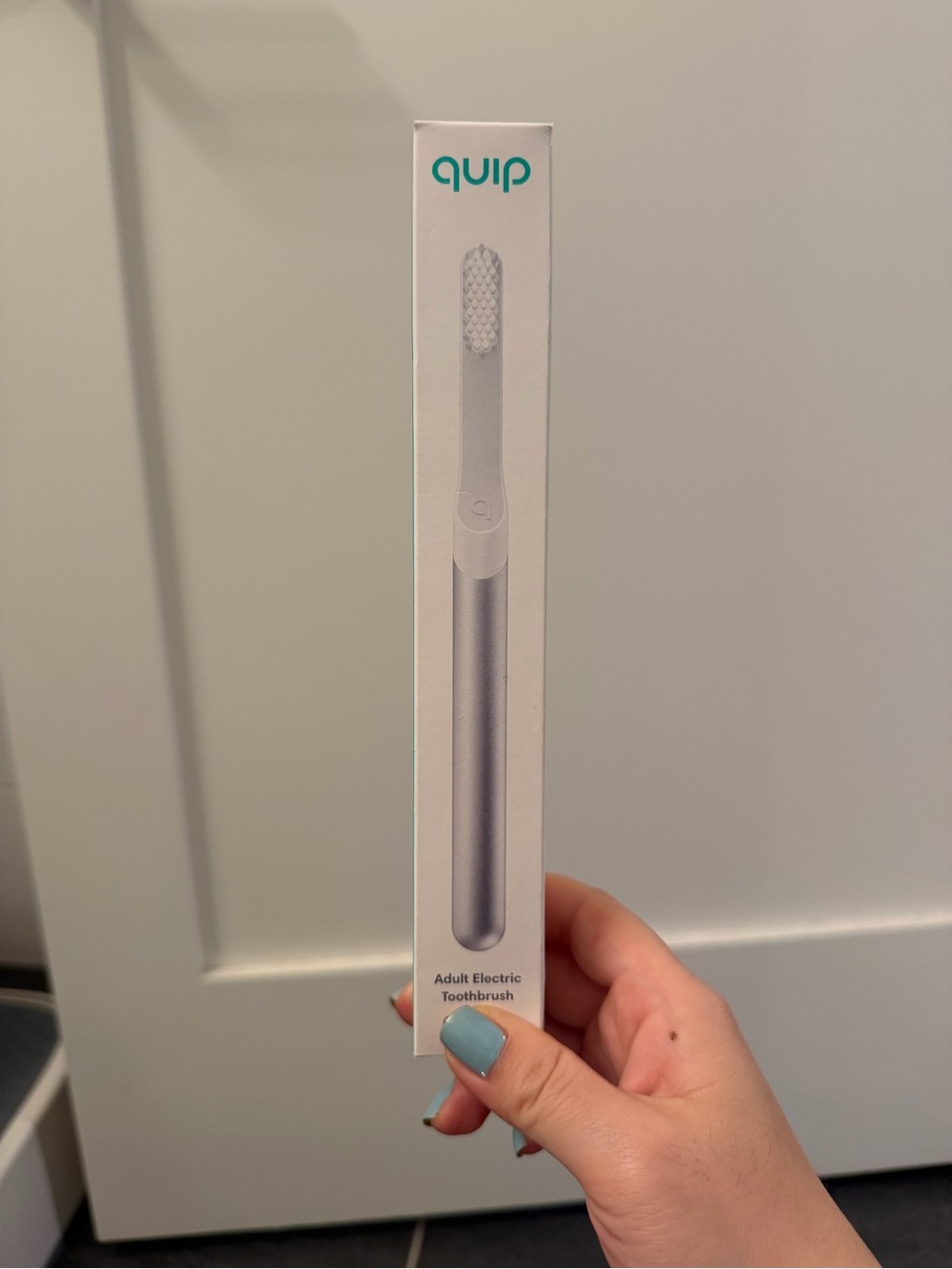 Quip Silver Rechargeable Electric Toothbrush - Adult